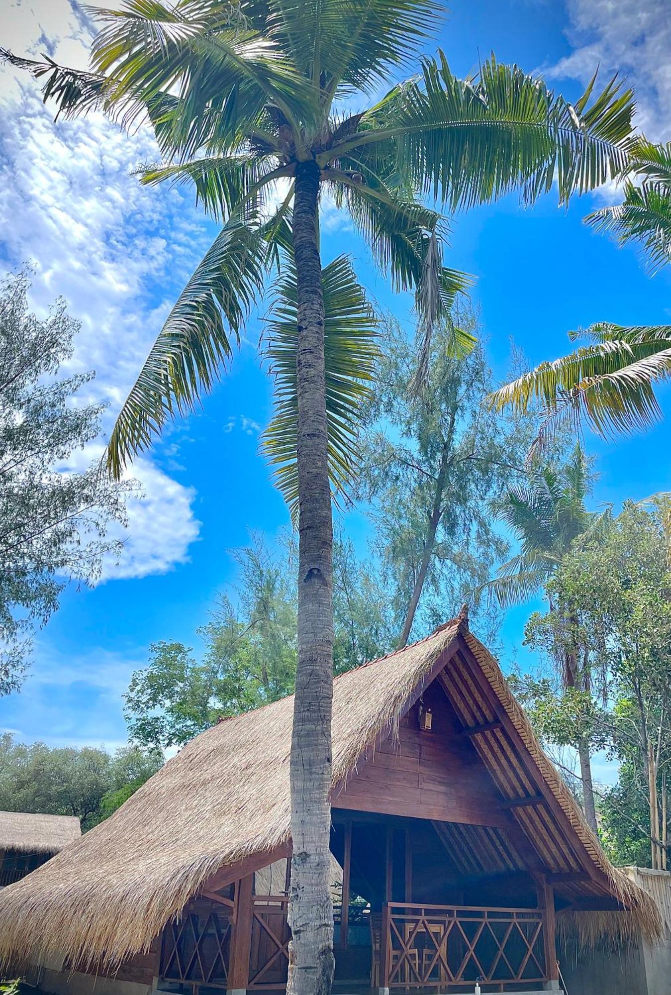 Saja Cottage, Gili Meno Exteriör bild